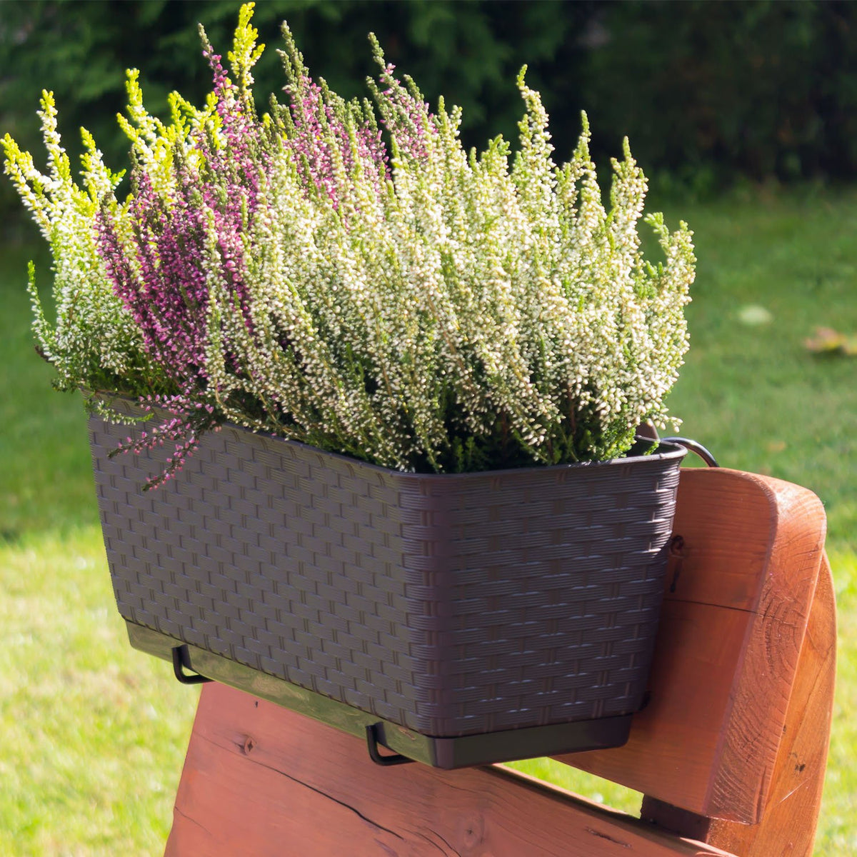 Rattan puodas su kabliukais Ratolla DRL400PW umbra - gaukdaugiau.lt