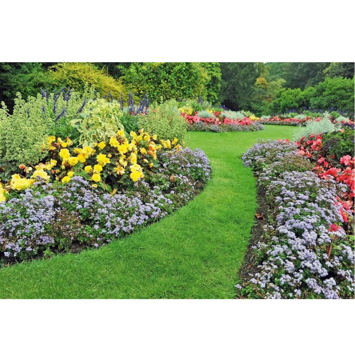 Tiesus sodo ratlankis 15cm x 9m PremiumLine brown - gaukdaugiau.lt