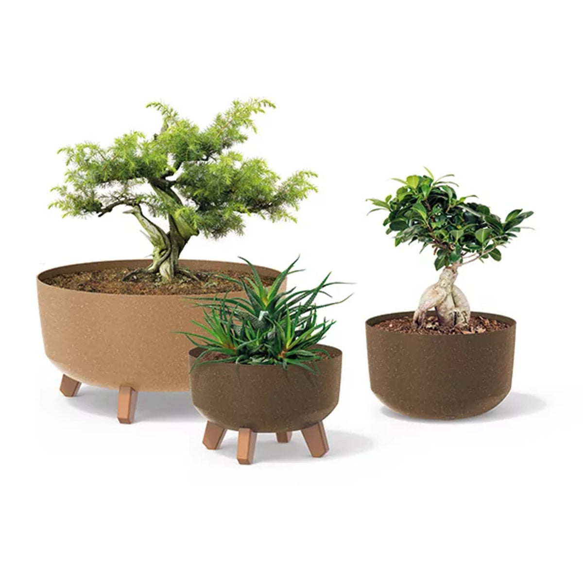 Standartinis Eco Medienos DGRL240W antracito ekologinis puodas - gaukdaugiau.lt