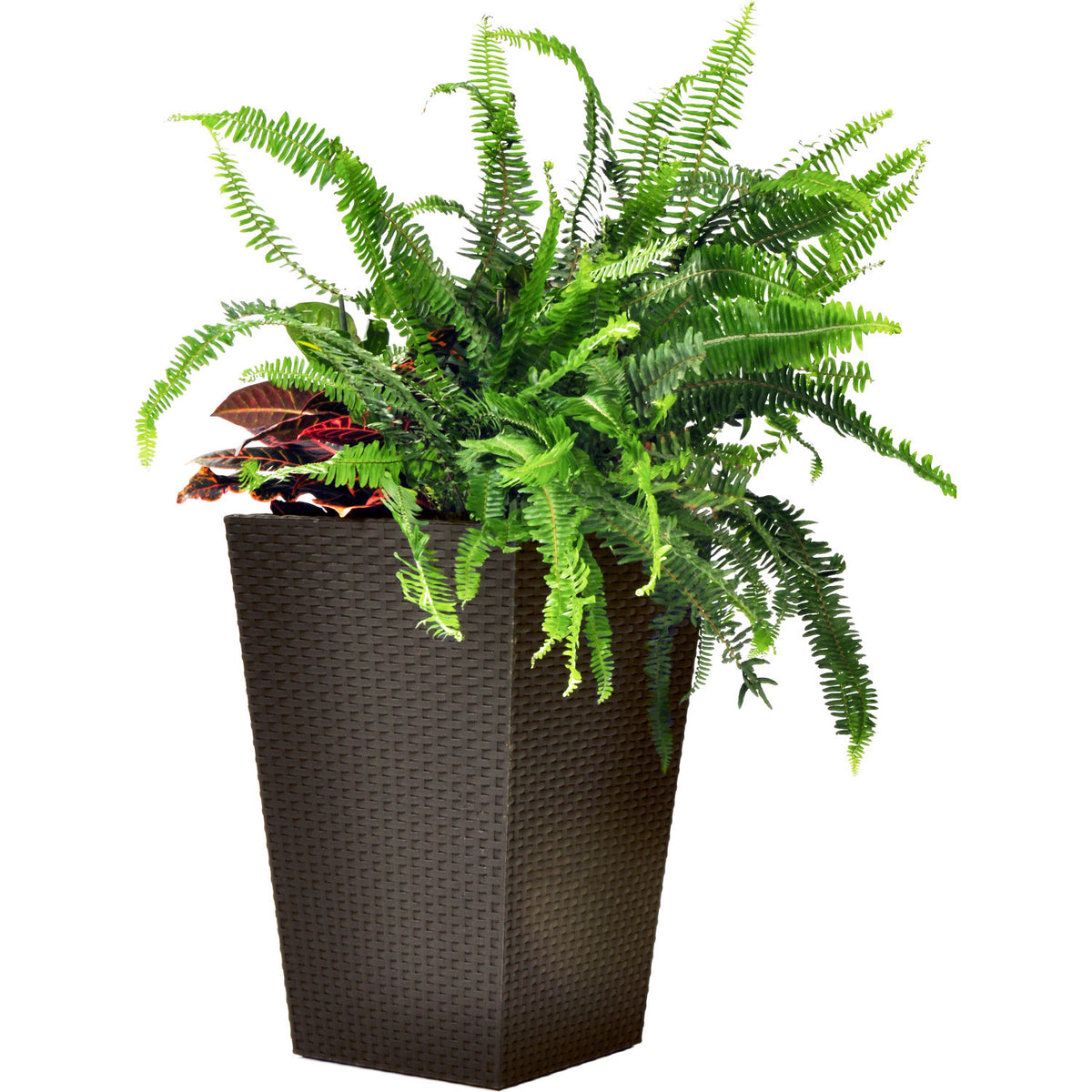 PUODAS STAČIAKAMPIS VIDUTINIS RATANAS PLANTER 55,4L viskio ruda - gaukdaugiau.lt