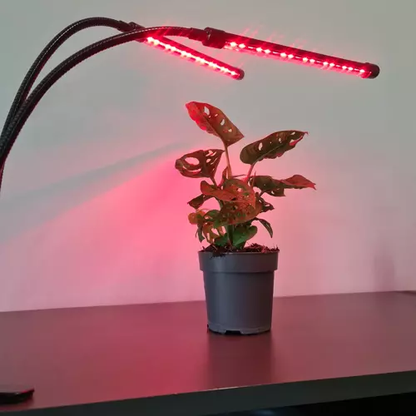 20 LED lempa 2 vnt. augalų auginimui PremiumLine 19241 - gaukdaugiau.lt