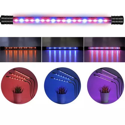20 LED lempa 3 vnt. augalų auginimui PremiumLine 19242 - gaukdaugiau.lt