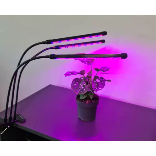 20 LED lempa 3 vnt. augalų auginimui PremiumLine 19242 - gaukdaugiau.lt