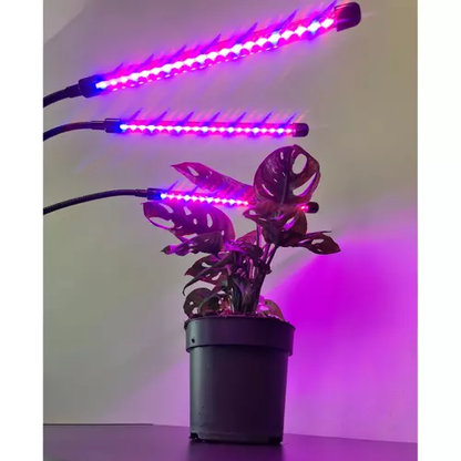 20 LED lempa 3 vnt. augalų auginimui PremiumLine 19242 - gaukdaugiau.lt