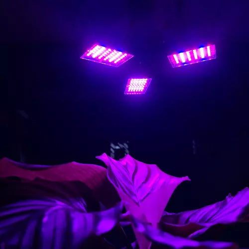 Lempa 108 LED augalų augimui PremiumLine 20440 - gaukdaugiau.lt