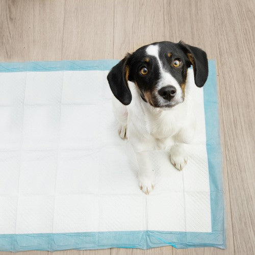 Higieninis įklotas vienkartinės palutės šunims 60x90cm 100 vnt - gaukdaugiau.lt