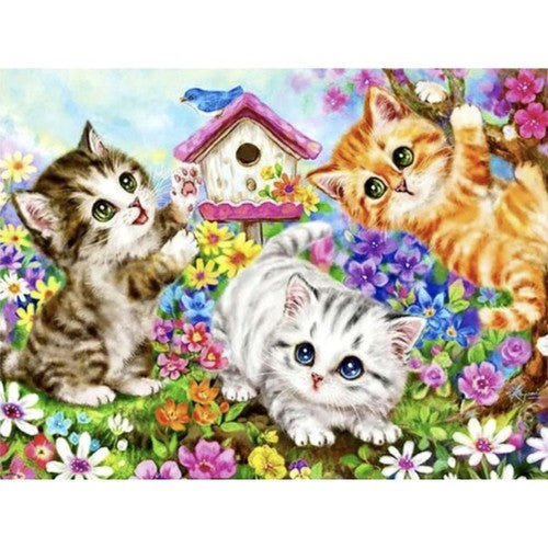 Tapyba Pagal Skaičius 40x50cm - Cats Drobė Su Rėmu - gaukdaugiau.lt
