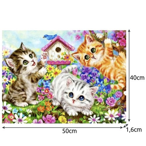 Tapyba Pagal Skaičius 40x50cm - Cats Drobė Su Rėmu - gaukdaugiau.lt