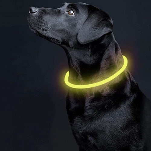 LED šviesos reguliuojama apykaklė - gaukdaugiau.lt