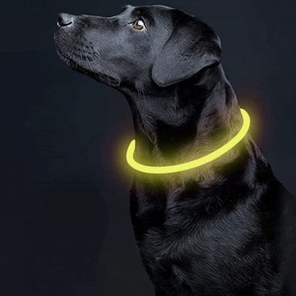 LED šviesos reguliuojama apykaklė - gaukdaugiau.lt