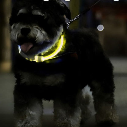 LED šviesos reguliuojama apykaklė - gaukdaugiau.lt