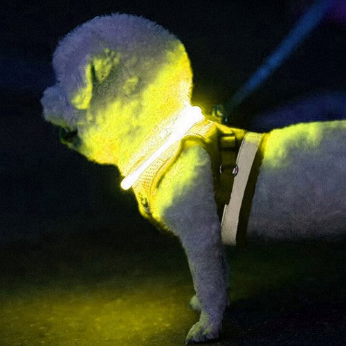 LED šviesos reguliuojama apykaklė - gaukdaugiau.lt
