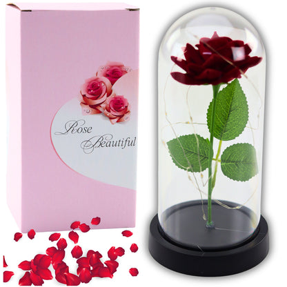 Amžinoji Rožė LED Apšvietimo Kupole Raudona 21x11cm - gaukdaugiau.lt