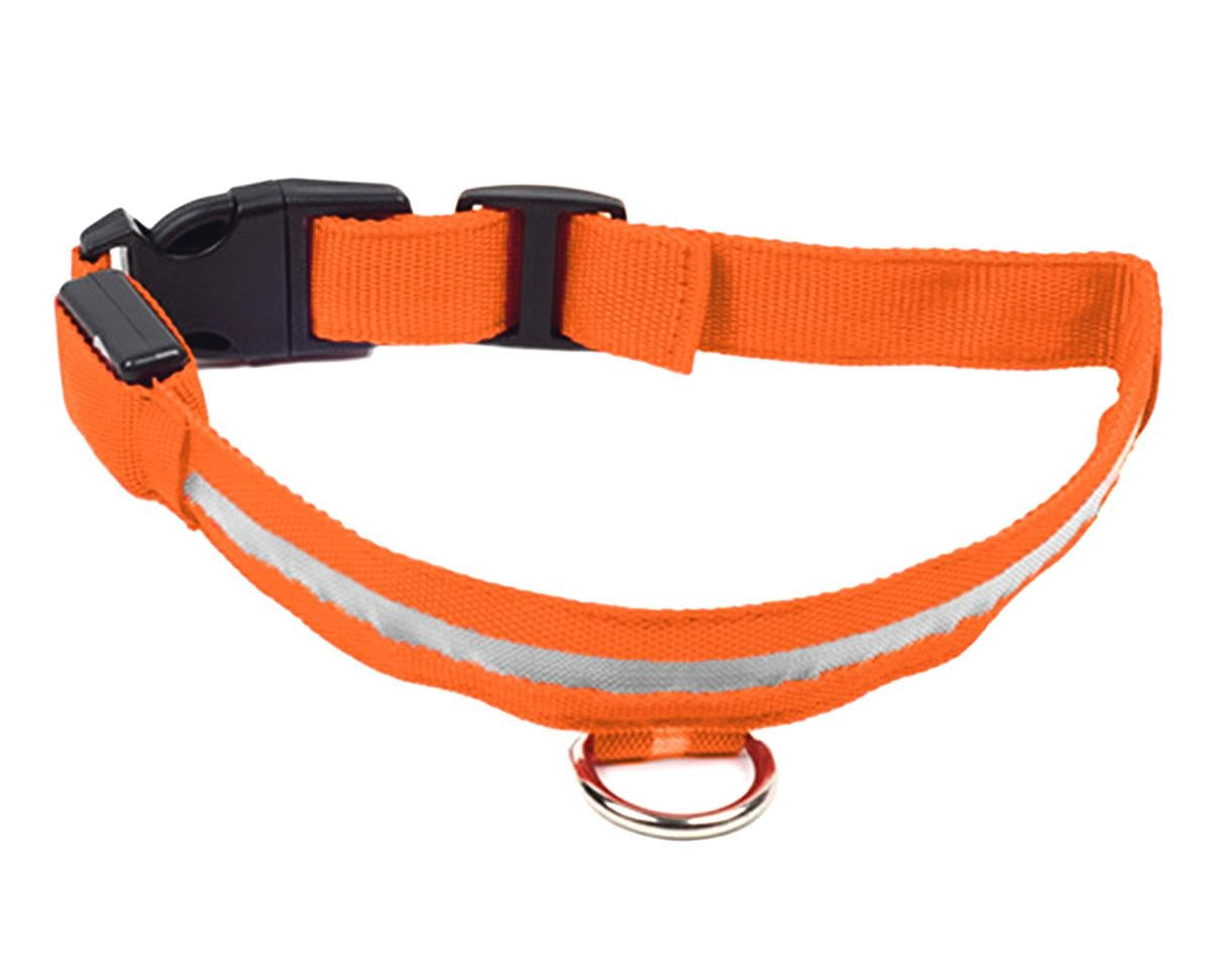 LED APŠVIETIMO APYKAKLĖ 32-37CM ORANG - gaukdaugiau.lt