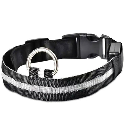 LED Apšvietimo Apykaklė Juoda 32-37cm - Saugus Šunims ir Katėms - gaukdaugiau.lt