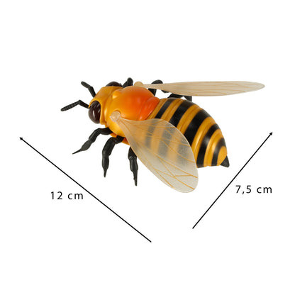 RC nuotolinio valdymo bitė + nuotolinio valdymo pultas