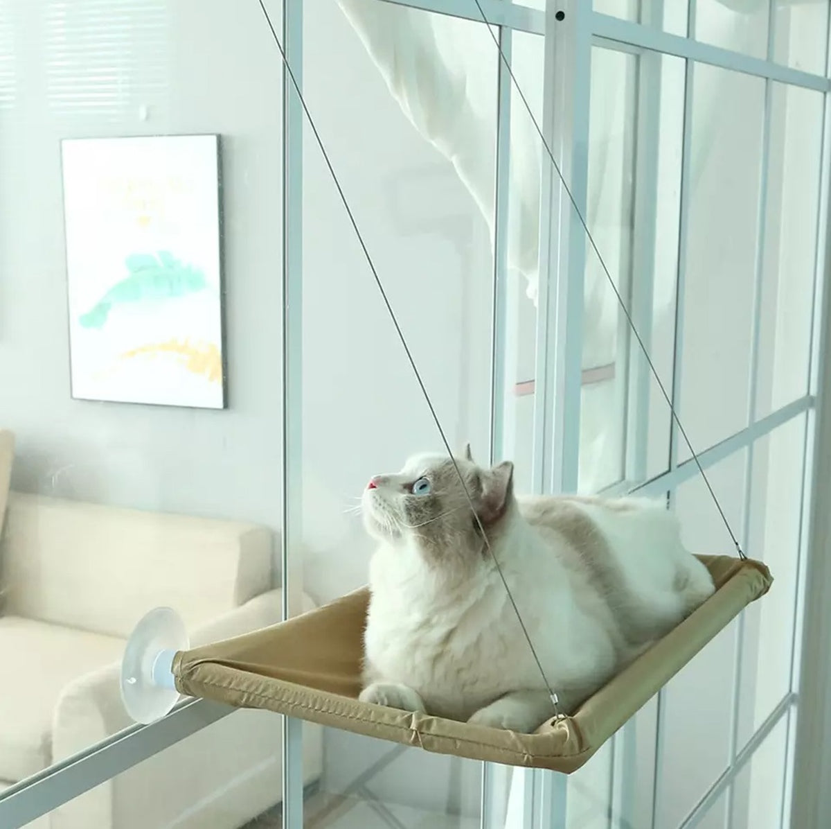 Langas Hammock Katėms – Stabilus Hamakas Ant Langų - gaukdaugiau.lt