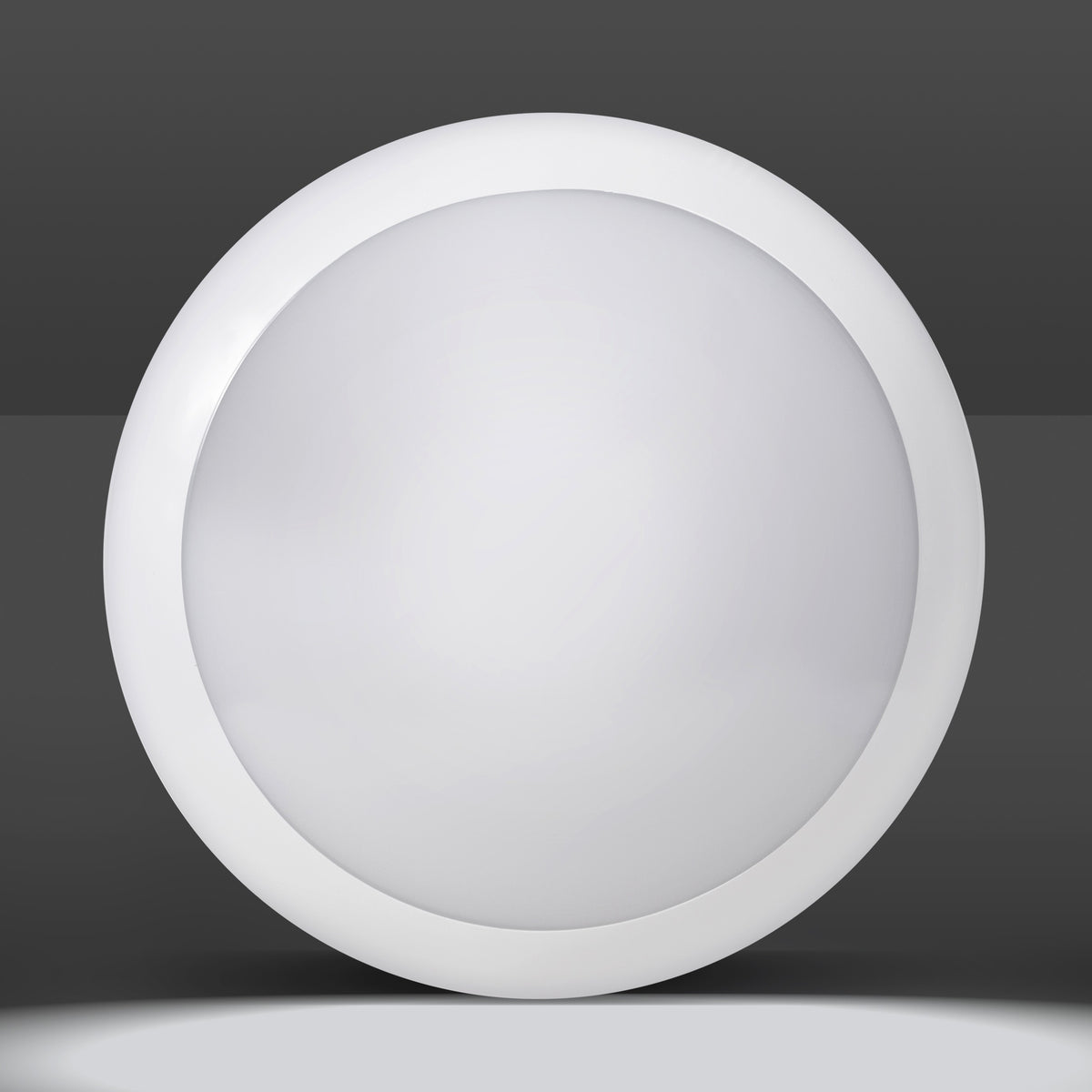 PremiumLine LED luba, Lubos lemputė, Išorinė siena, IP66, 16W, MCE144 - gaukdaugiau.lt