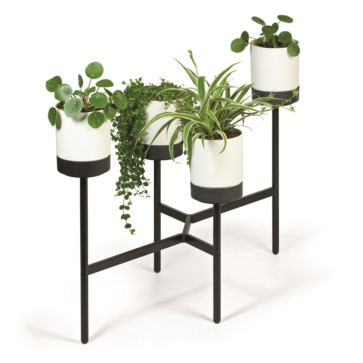 Bloom STAND - baltas - gaukdaugiau.lt