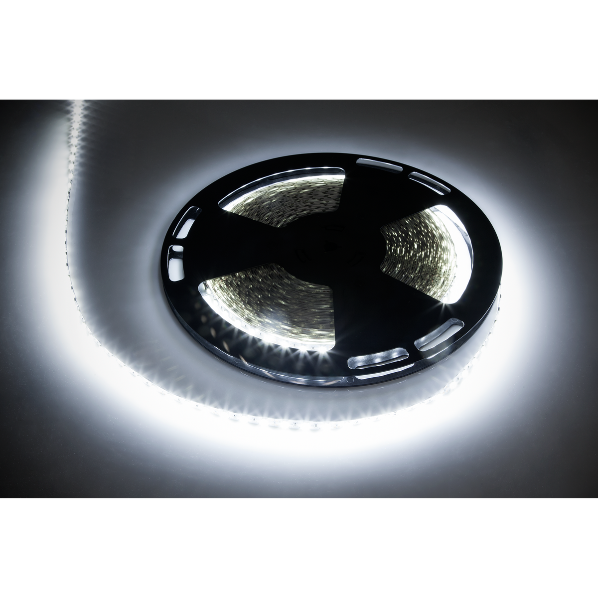 šviesos laidas 25m PremiumLine (1500x5050 SMD) šaltas baltas, 12V - gaukdaugiau.lt