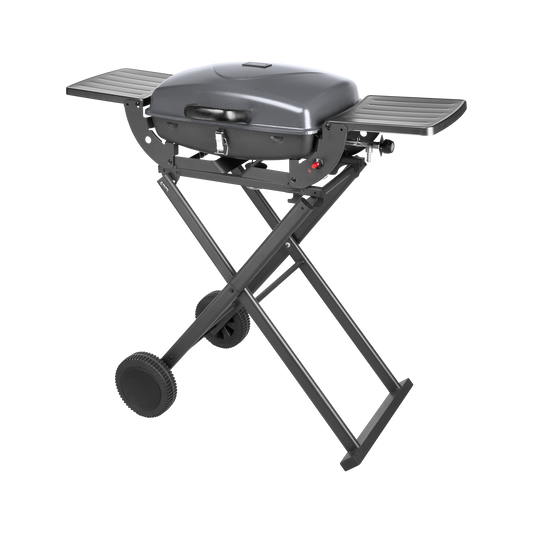 Teesa BBQ-1000 dujinis grilis nešiojamas - sulankstomas - gaukdaugiau.lt