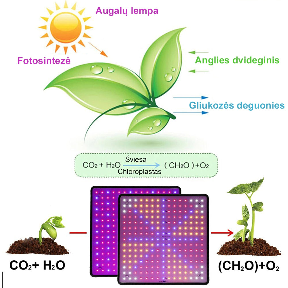 Augalų Auginimo Lempa 45W