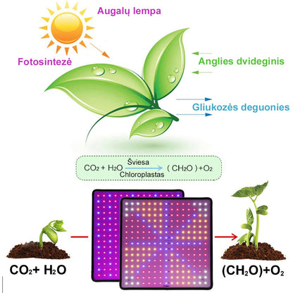 Augalų Auginimo Lempa 45W