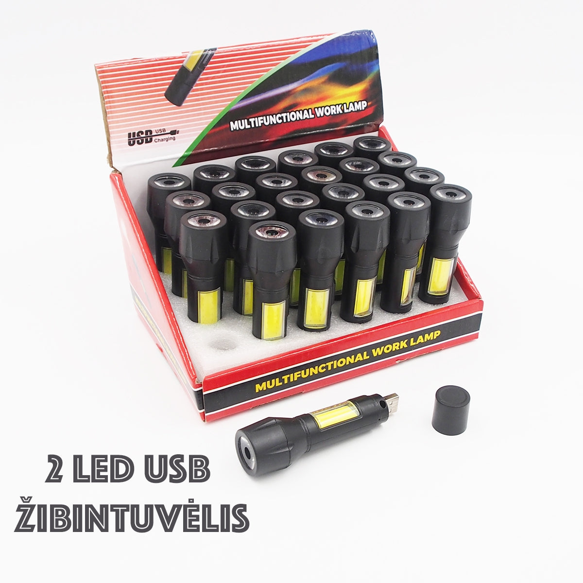 Prožektorius USB-2LED